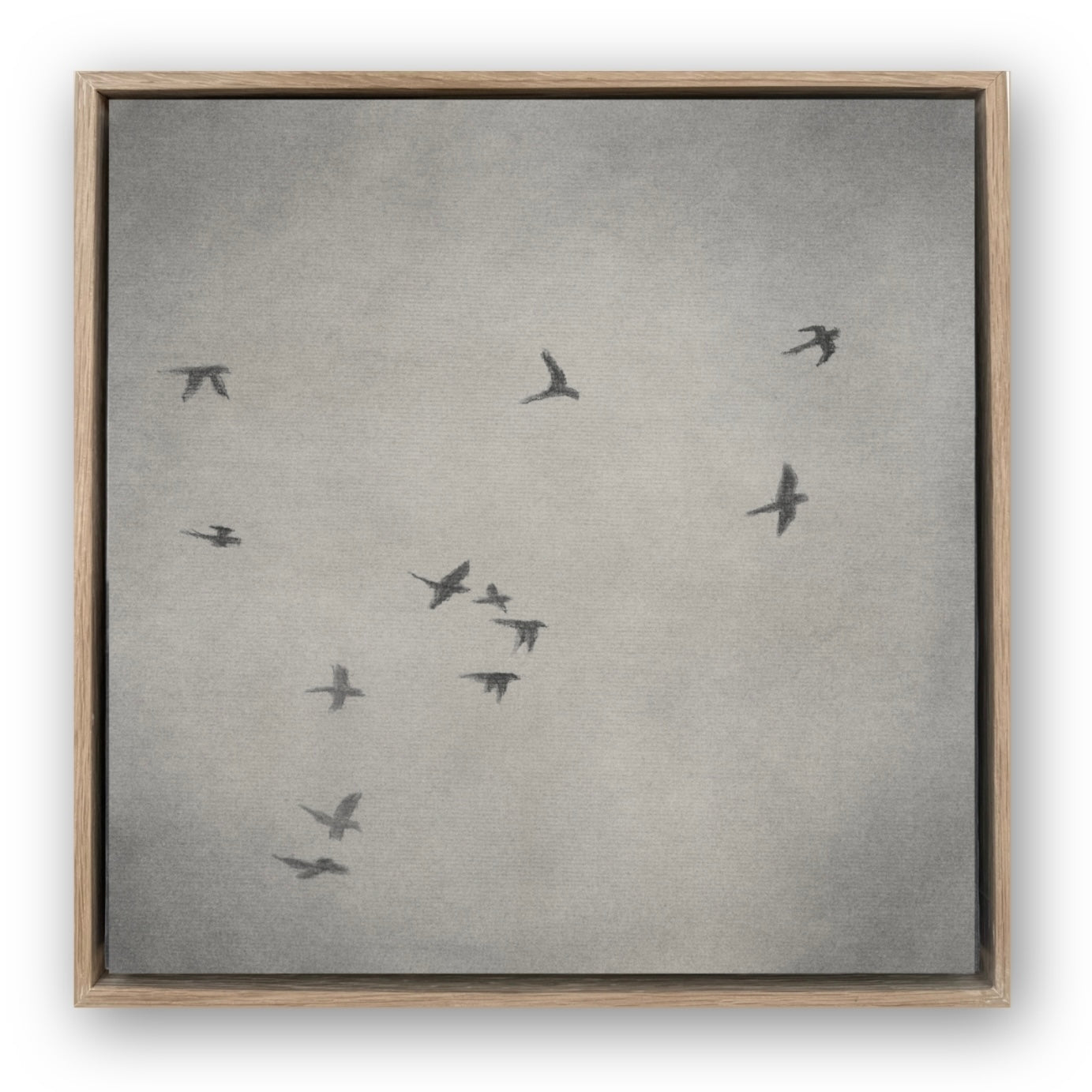 The Parrots