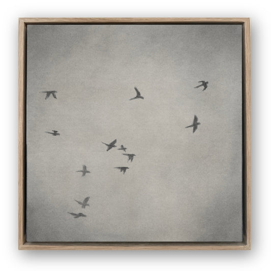 The Parrots